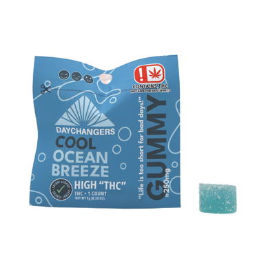 Day Changer -SINGLES- 250mg MAX THC - Ocean Breeze - Image 2