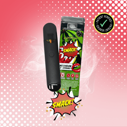Smack - 2g Disposable - Watermelon