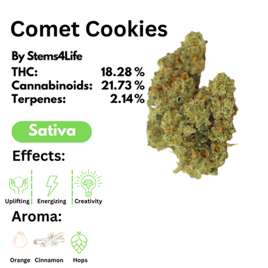 Bulk Flower - Stems4Life - Comet Cookies