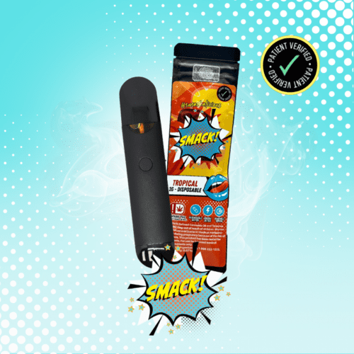 Smack - 2g Disposable - Tropical