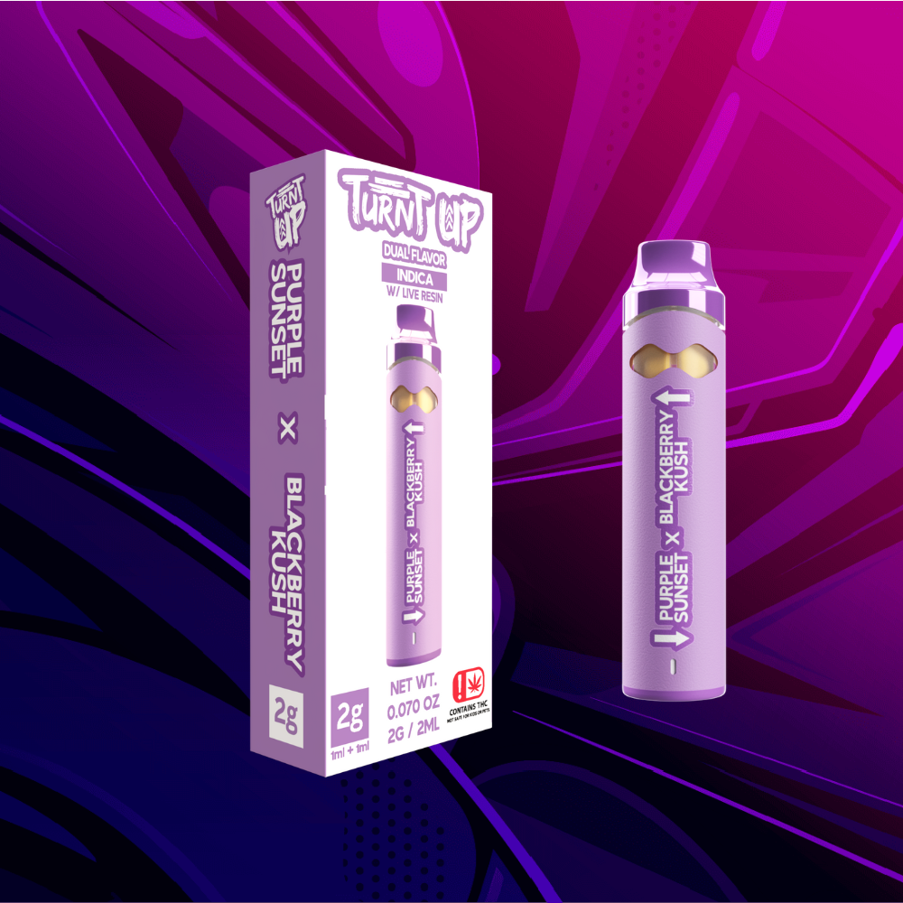 Turnt Up - 2g Disposable - Purple Sunset x Blackberry Kush