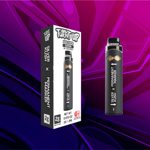 Turnt Up - 2g Disposable - Silver Kush x Permanent Marker