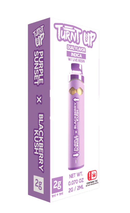 Turnt Up - 2g Disposable - Purple Sunset x Blackberry Kush - SAMPLE